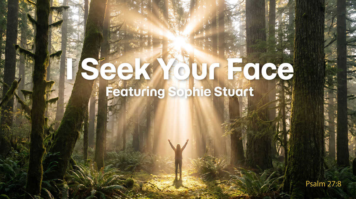 I Seek Your Face